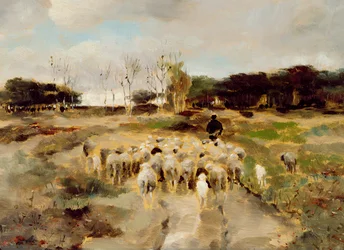 Troupeau de moutons